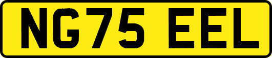 NG75EEL