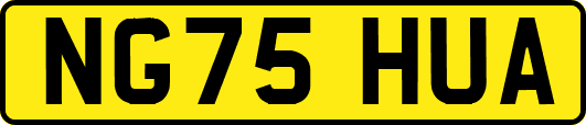 NG75HUA