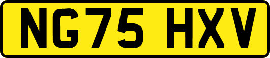 NG75HXV