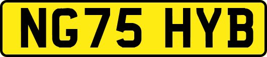 NG75HYB