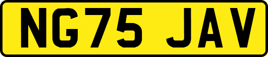 NG75JAV