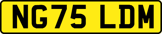 NG75LDM