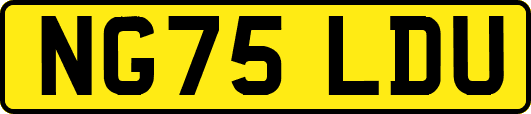 NG75LDU