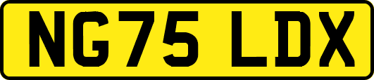NG75LDX