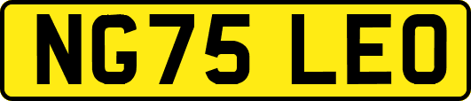 NG75LEO