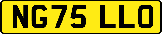 NG75LLO