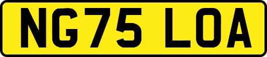 NG75LOA