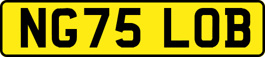 NG75LOB