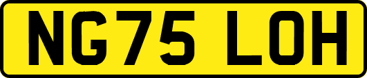 NG75LOH