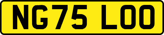 NG75LOO