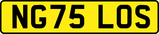 NG75LOS