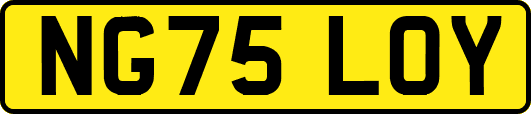NG75LOY
