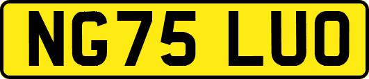 NG75LUO