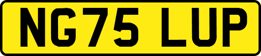 NG75LUP