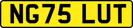 NG75LUT