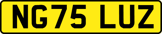 NG75LUZ