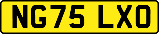 NG75LXO