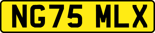 NG75MLX
