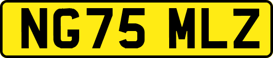 NG75MLZ