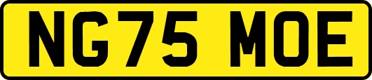 NG75MOE