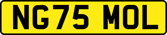 NG75MOL