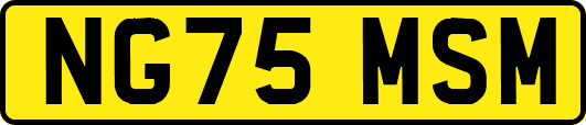 NG75MSM