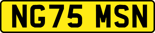 NG75MSN