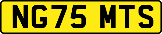 NG75MTS