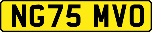 NG75MVO