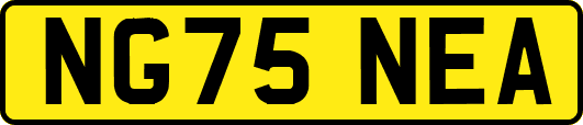 NG75NEA