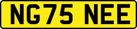NG75NEE