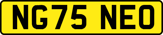 NG75NEO