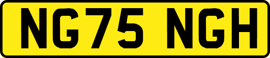 NG75NGH