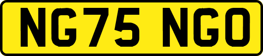 NG75NGO