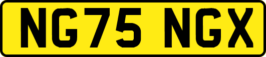 NG75NGX