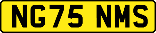 NG75NMS
