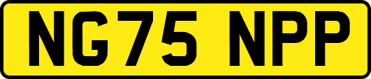 NG75NPP
