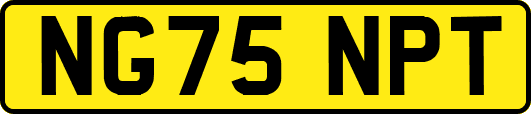 NG75NPT