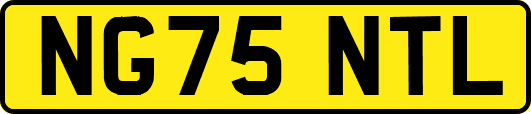 NG75NTL
