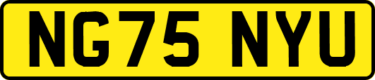 NG75NYU