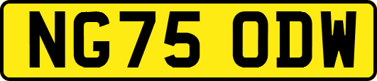 NG75ODW