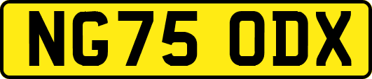 NG75ODX