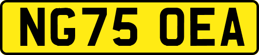 NG75OEA