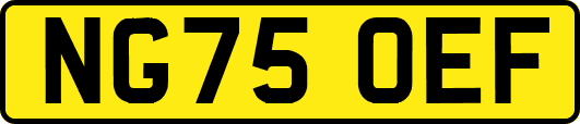NG75OEF