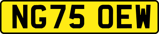 NG75OEW