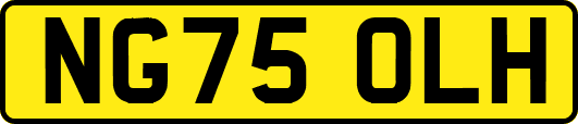 NG75OLH