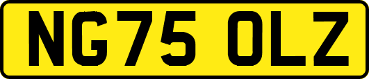 NG75OLZ