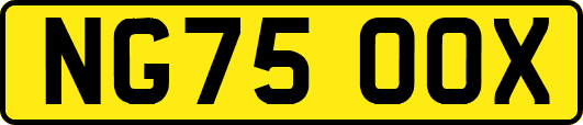 NG75OOX