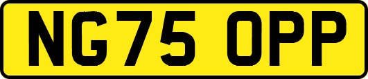 NG75OPP
