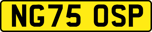NG75OSP